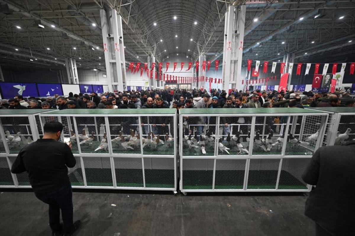 Gaziantep'te "29. T&uuml;rkiye Filo G&uuml;vercin G&uuml;zellik Yarışması" d&uuml;zenlendi