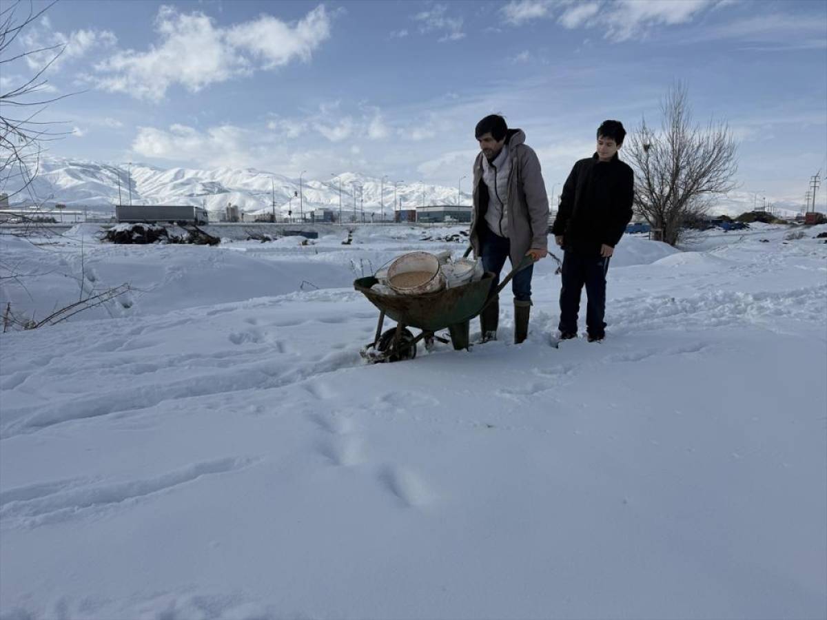 Erzincanlı &ccedil;ift&ccedil;i, karlı araziye keklikler i&ccedil;in yem taşıyor