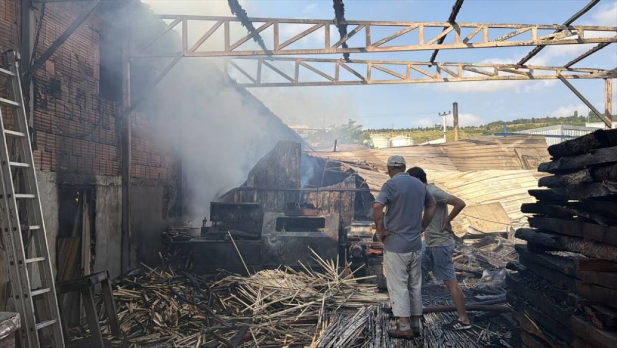 Kocaeli'de palet fabrikasında &ccedil;ıkan yangın s&ouml;nd&uuml;r&uuml;ld&uuml;