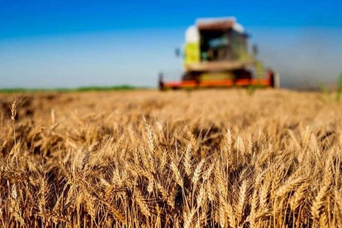 Kırsal kalkınmaya b&uuml;y&uuml;k destek... Tarım ve Orman'dan 30 milyon TL&rsquo;ye kadar hibe!