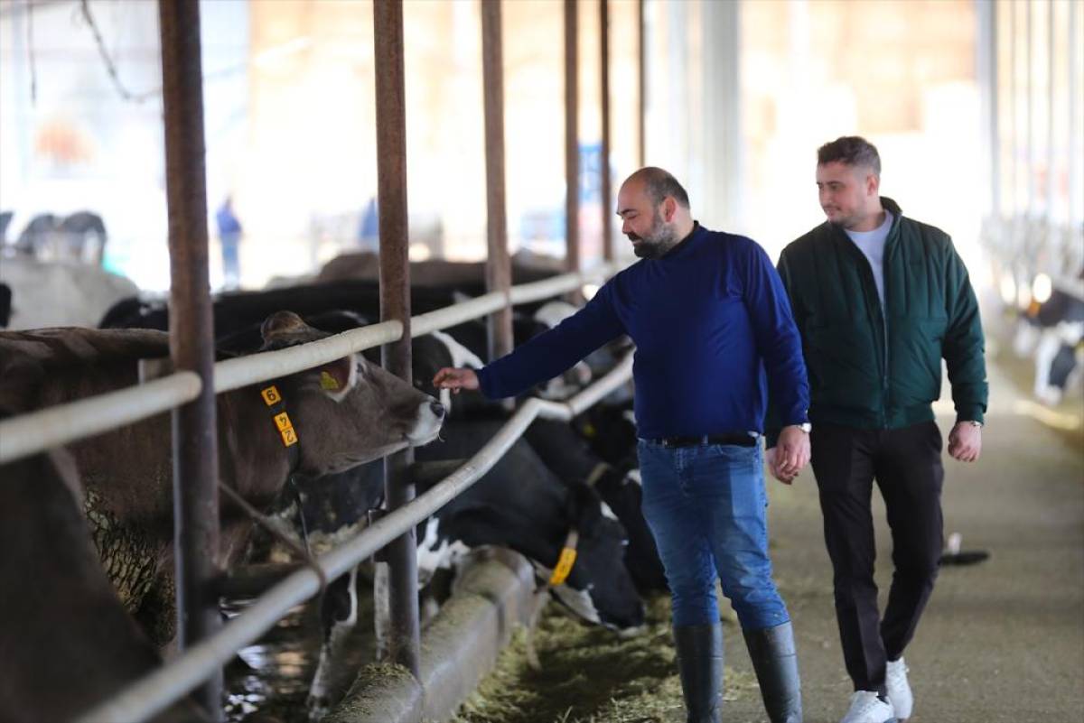 6 ŞUBAT DEPREMLERİNİN &Uuml;&Ccedil;&Uuml;NC&Uuml; YILI - Hatay'da depremde hayvanlarını kaybeden besiciler, devlet desteğiyle yeniden ayağa kalktı