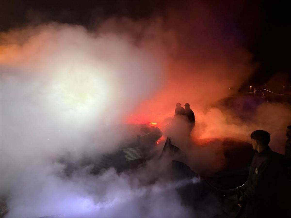 Ardahan'da &ccedil;ıkan ev yangını hasara neden oldu