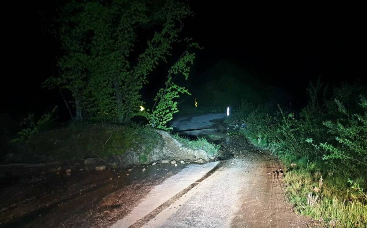Bursa'da heyelan nedeniyle k&ouml;y yoluna ağa&ccedil;lar ve toprak yığınları d&uuml;şt&uuml;