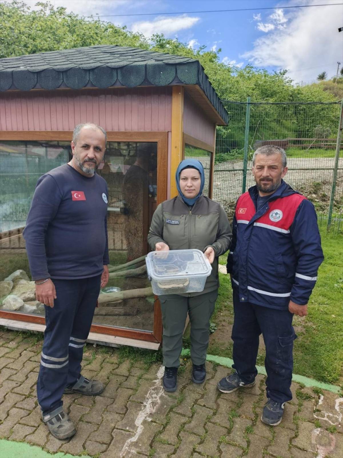 Ordu'da bir evde bulunan piton Giresun'da koruma altına alındı