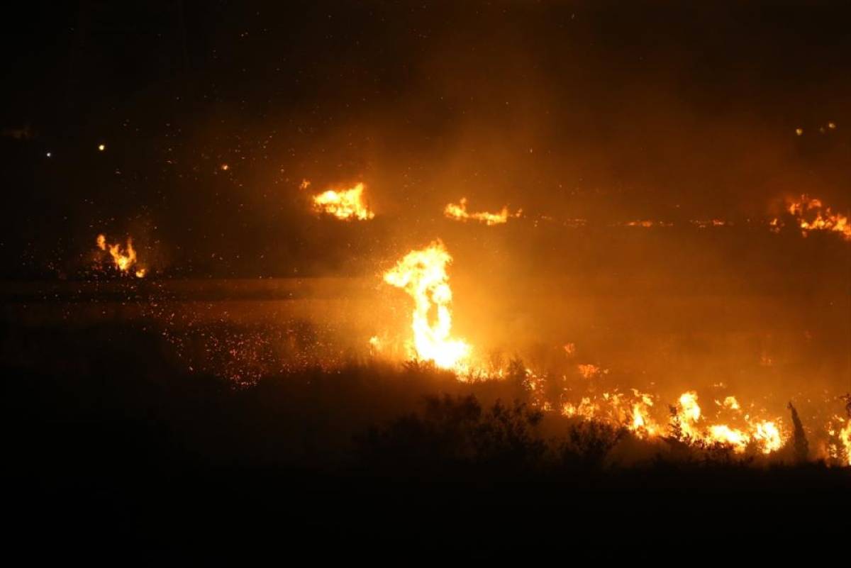 Hatay'da zeytinlik alanda &ccedil;ıkan yangın kontrol altına alındı