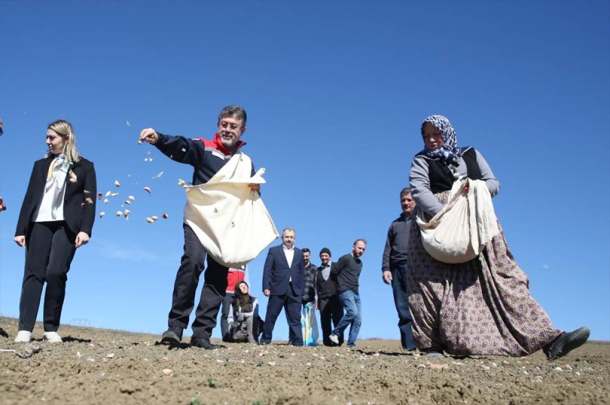 Tarım ve Orman Bakanı Yumaklı, Kastamonu'da sarımsak ekimine katıldı: