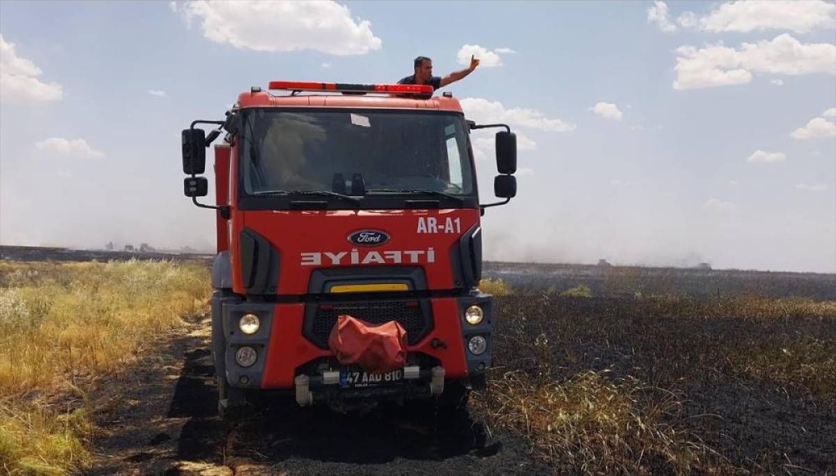 Mardin'de buğday ve arpa ekili alanda &ccedil;ıkan yangın s&ouml;nd&uuml;r&uuml;ld&uuml;