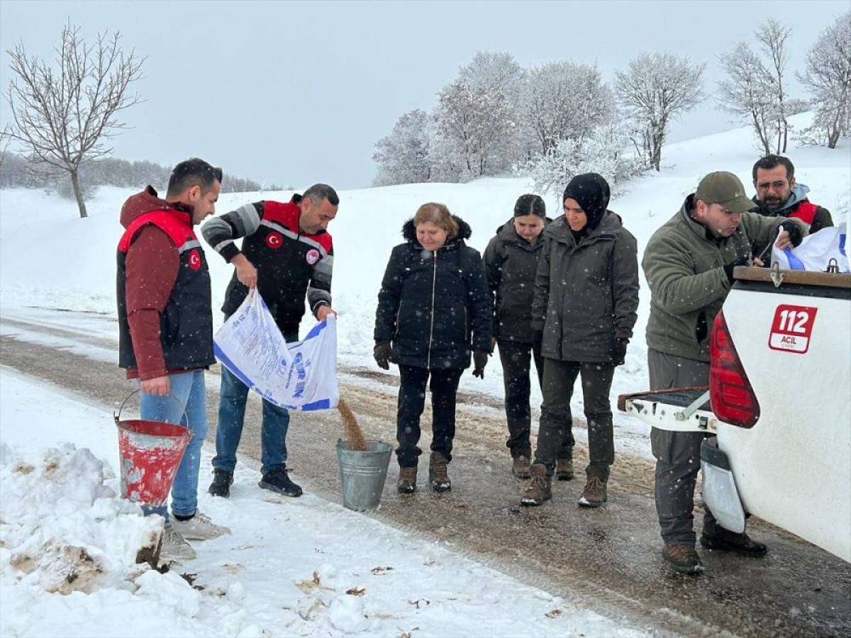 Amasya'da yaban hayvanları i&ccedil;in doğaya yem bırakıldı