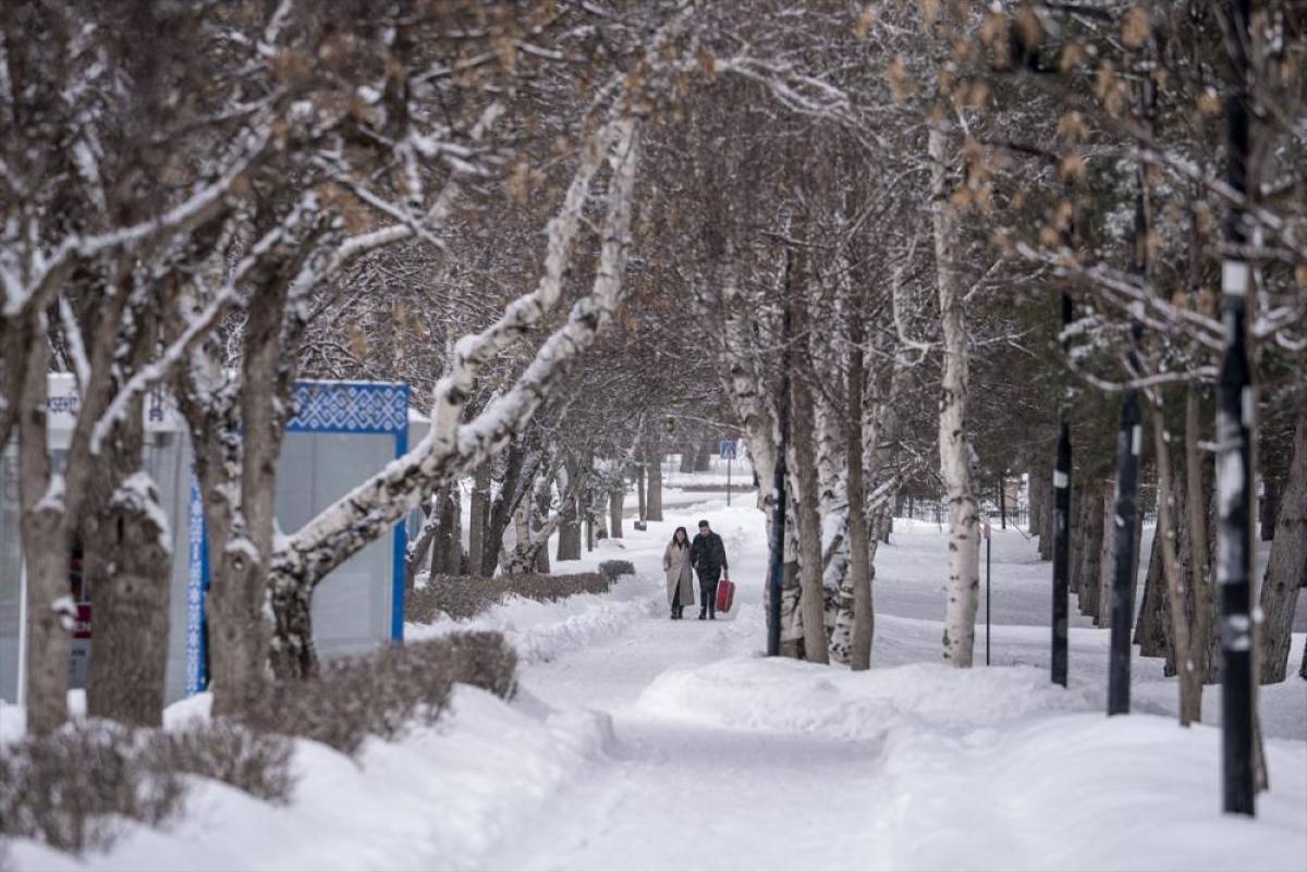 Doğu Anadolu'da 5 ilde kar ve soğuk hava etkili oluyor