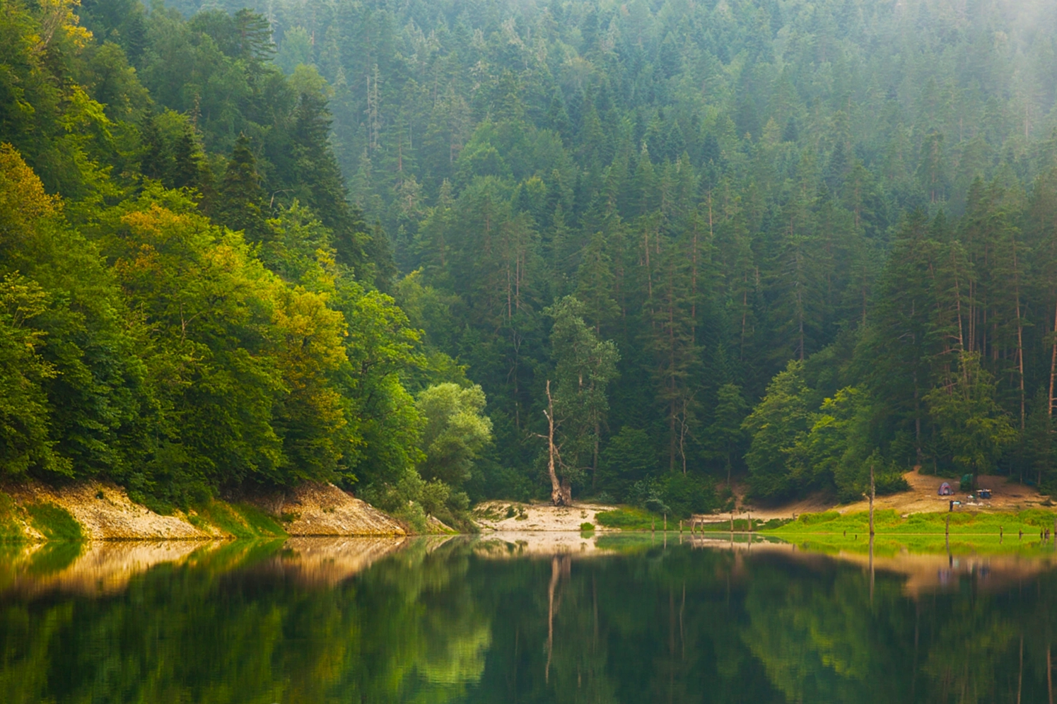 Milli parklar ve doğa korumada yeni d&ouml;nem... Kanun teklifi TBMM'de kabul edildi