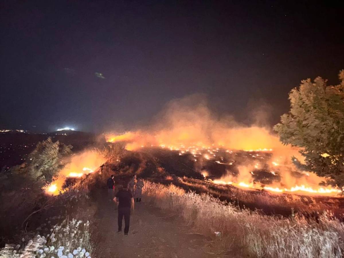 Hatay'da anızda &ccedil;ıkıp zeytin bah&ccedil;elerine sı&ccedil;rayan yangın kontrol altına alındı
