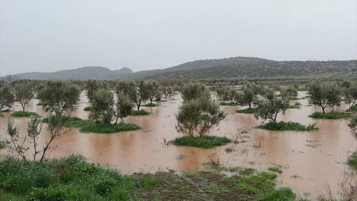 Osmaniye'de sağanak nedeniyle bazı evleri ve tarım arazilerini su bastı