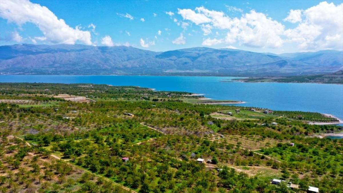 Karakaya Baraj G&ouml;l&uuml; ilkbaharda doğaseverlere g&uuml;zel manzaralar sunuyor