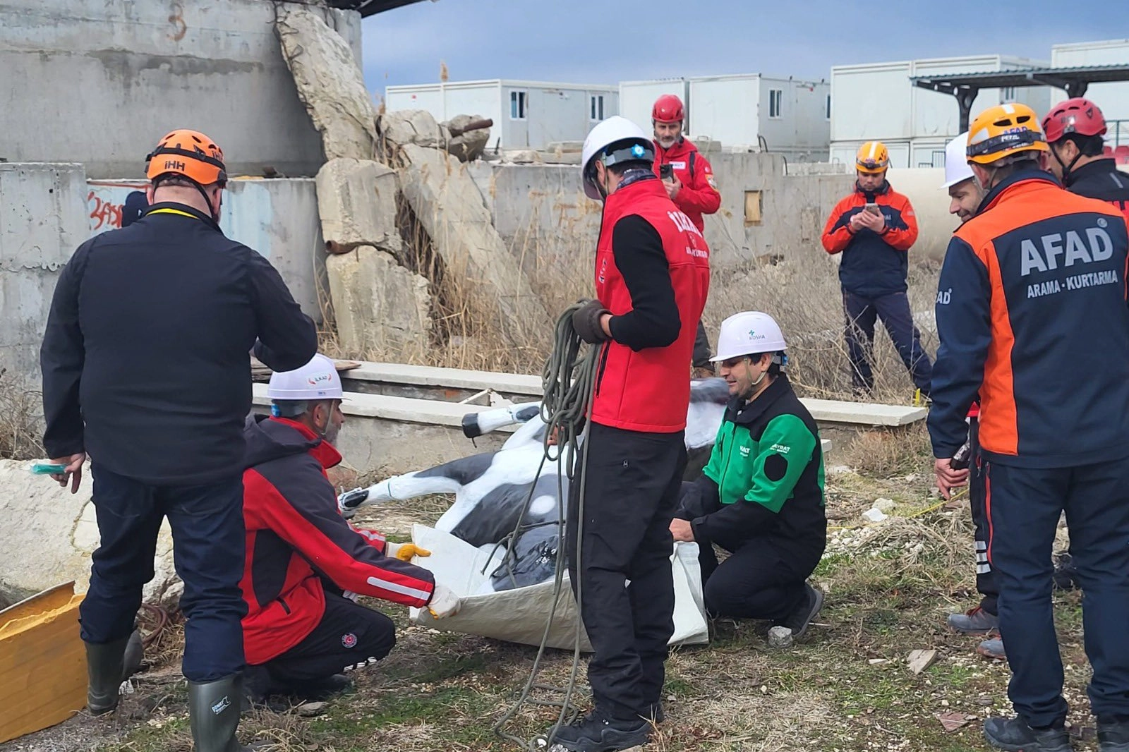 AFAD&rsquo;dan uluslararası iş birliğiyle hayvan koruma projesi... RESQ-ANIMALS başladı
