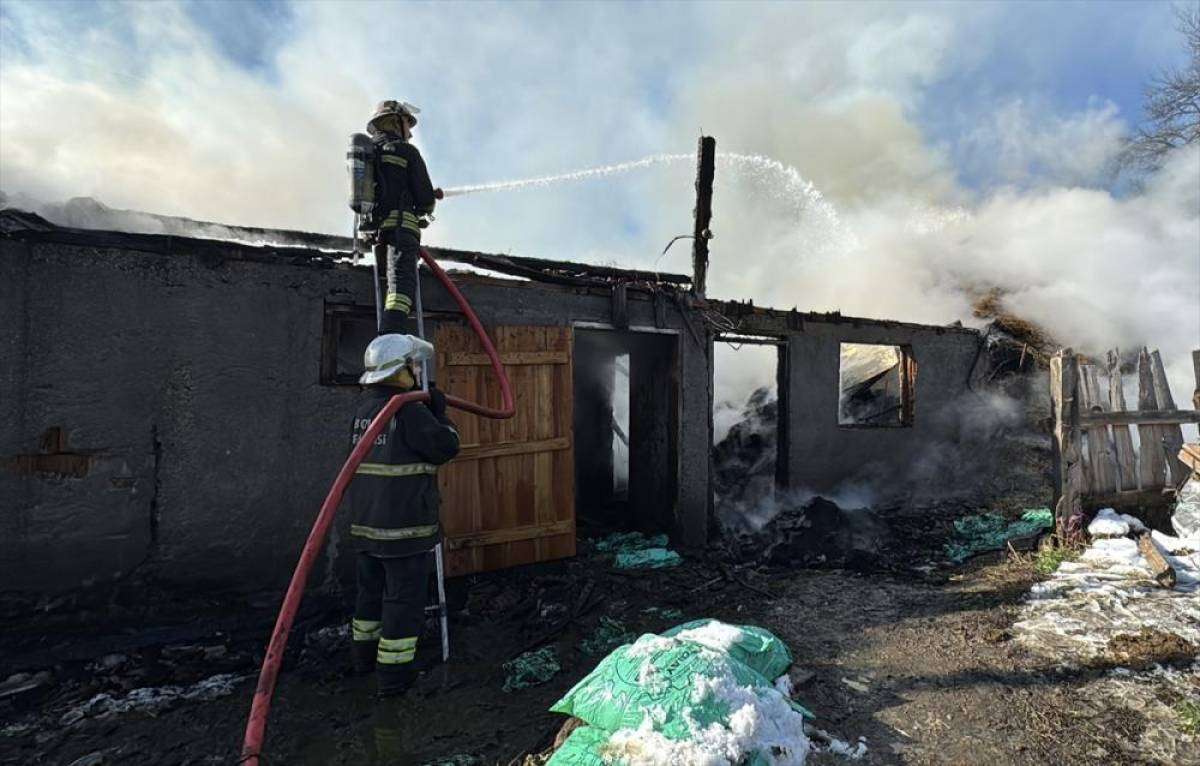 Bolu'da &ccedil;ıkan yangında ahır ve samanlık kullanılamaz hale geldi