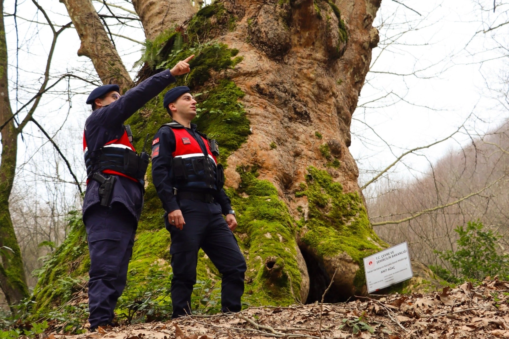 Yalova&rsquo;da Jandarma turizm b&ouml;lgelerinde g&uuml;venliği artırdı