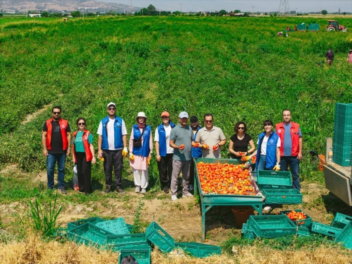 Gen&ccedil;lik ve Spor Bakanlığı "G&ouml;n&uuml;ll&uuml; Hasat Etkinliği" takvimi belli oldu