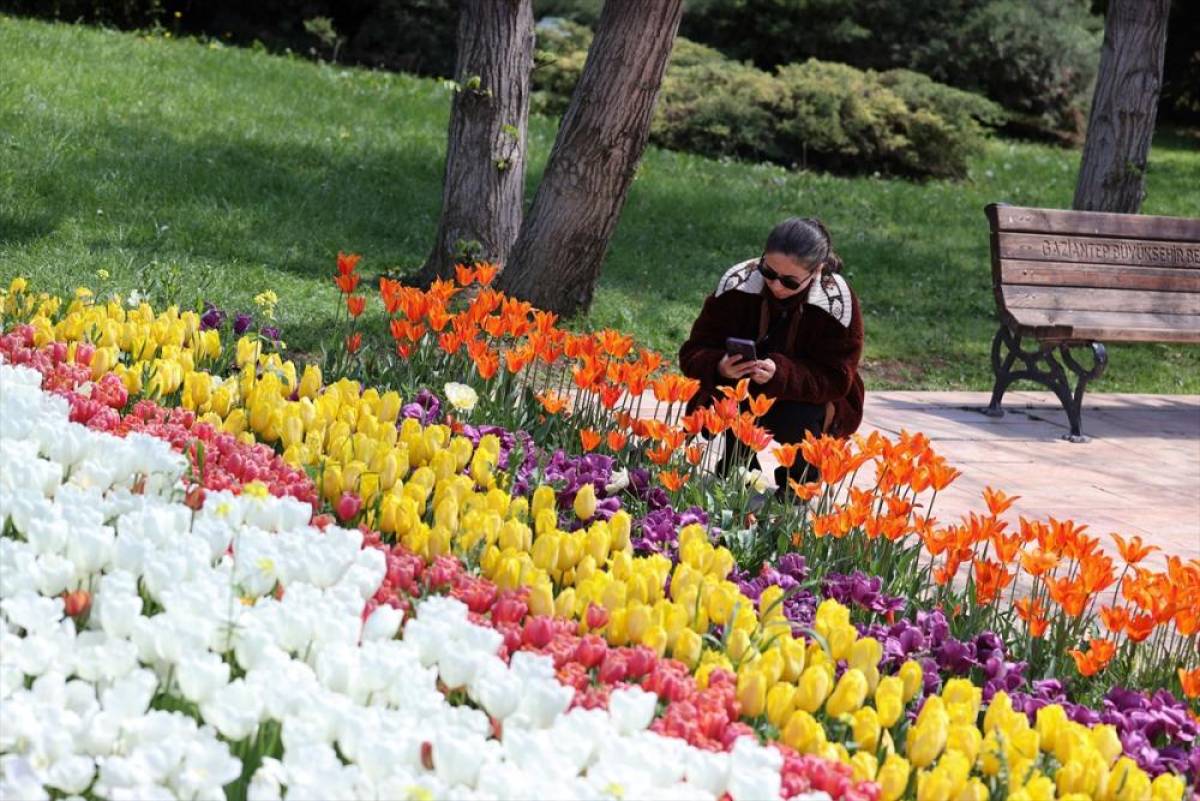 Gaziantep Botanik Bah&ccedil;esi'nde ilkbahar renkleri hakim oldu