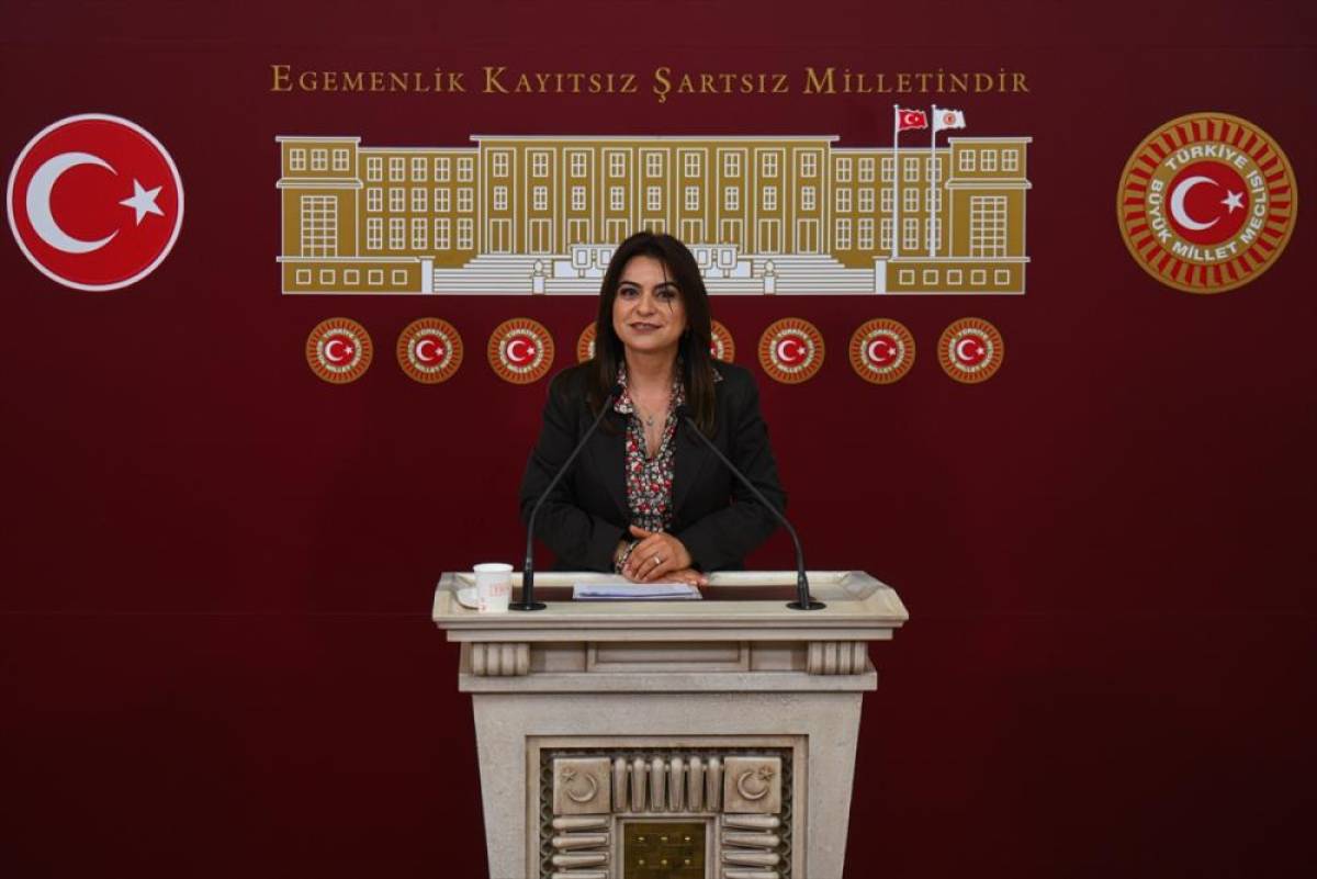DEM Parti Grup Başkanvekili Ko&ccedil;yiğit, g&uuml;ndemi değerlendirdi: