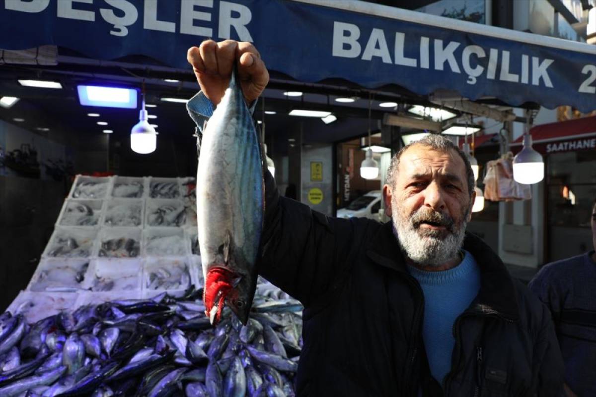 Karadeniz'de yağlanan ve büyüyen palamut yüz güldürdü