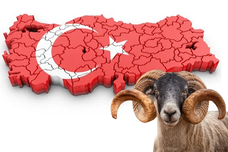 Yoğun g&uuml;ndeme bayram molası!