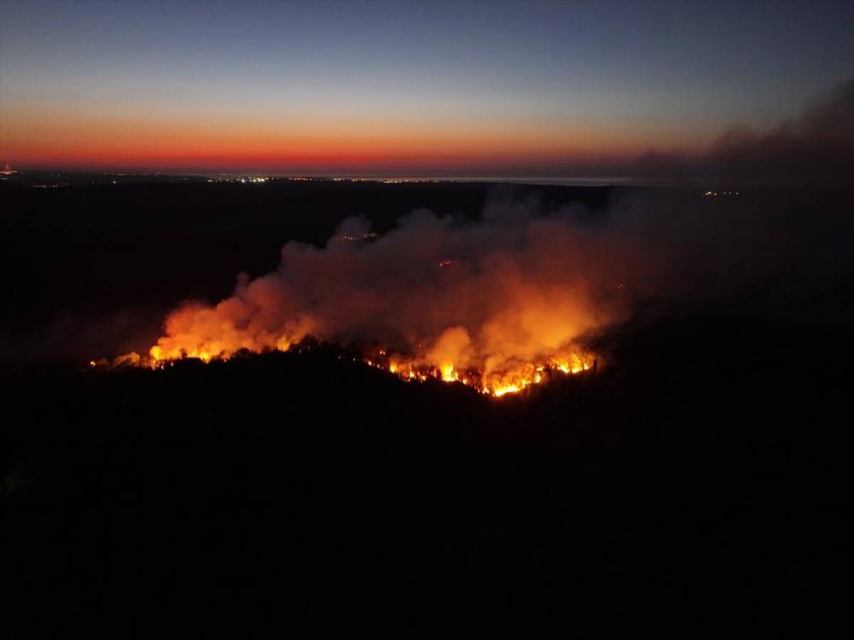 G&Uuml;NCELLEME 2 - Beykoz'da ormanlık alanda &ccedil;ıkan yangına m&uuml;dahale s&uuml;r&uuml;yor
