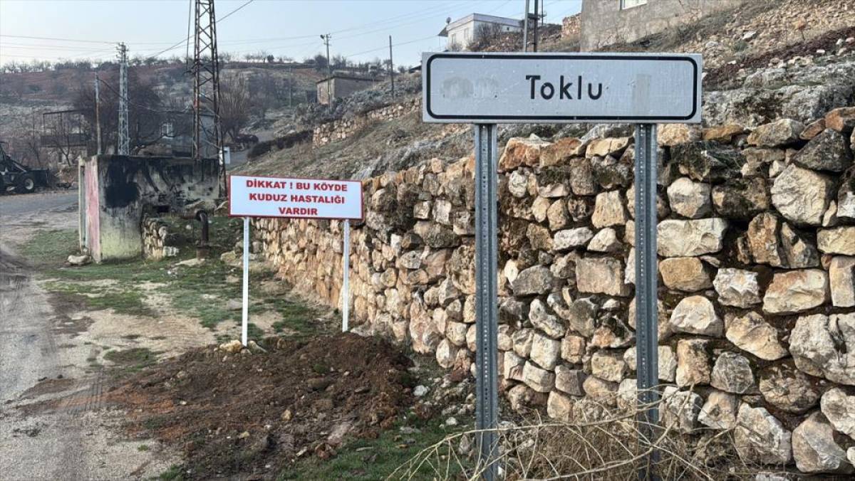 Adıyaman'da bir köy kuduz nedeniyle karantinaya alındı