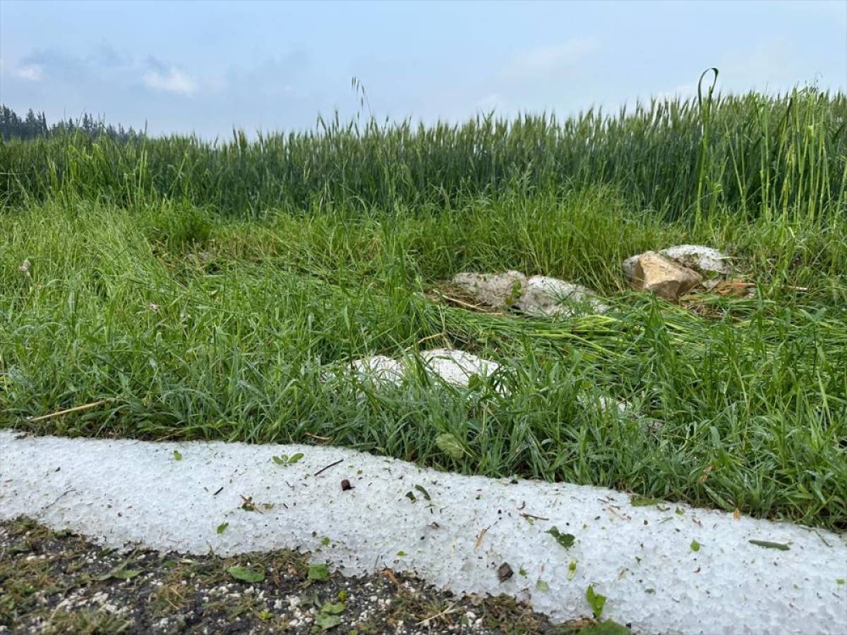 Osmaniye'de dolu ekili tarım alanlarına zarar verdi