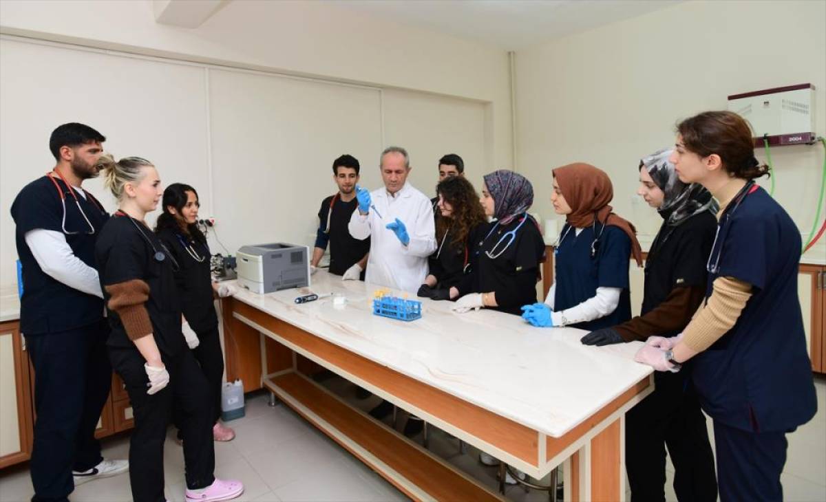 Van kedilerinde "B" kan grubunun daha baskın olduğu belirlendi