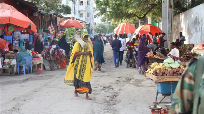 Afrika Birliği, Somali'nin toprak b&uuml;t&uuml;nl&uuml;ğ&uuml;ne olan desteğini yineledi