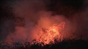 Arjantin'in Patagonya b&ouml;lgesindeki orman yangınlarında 37 bin hektarlık alan k&uuml;l oldu