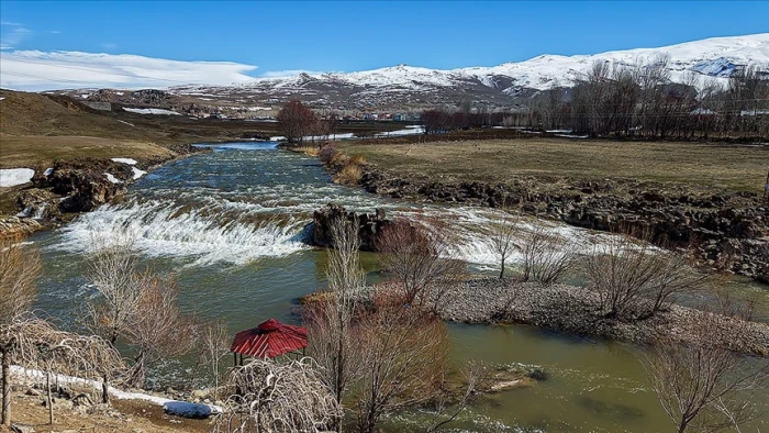 Artan yağışlar "Van G&ouml;l&uuml;'n&uuml;n incileri"nin &uuml;reme d&ouml;nemini sorunsuz ge&ccedil;irmesini sağlayacak