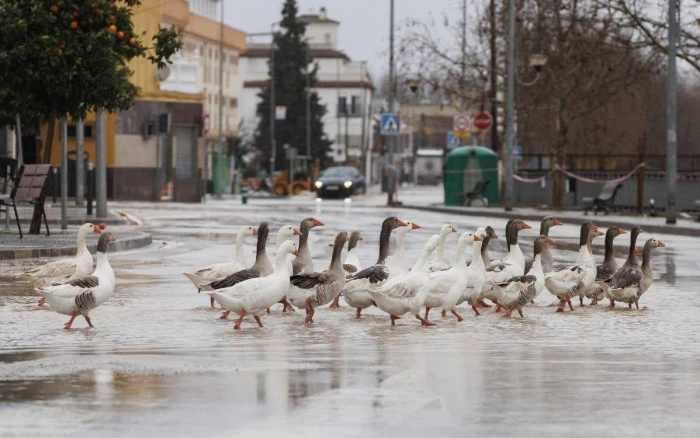 Avrupa'da aşırı hava olayları sonrası h&uuml;k&uuml;metlere "kriz y&ouml;netimi" eleştirisi