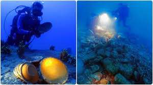 Ayvalık a&ccedil;ıklarında 1500 yıllık ticaret gemisi batığı bulundu