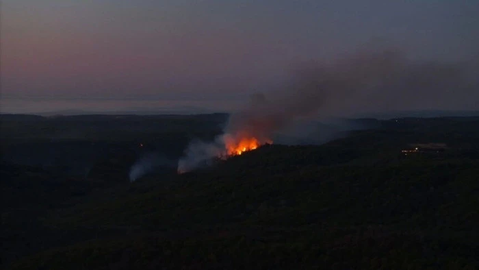 Beykoz'da ormanlık alanda &ccedil;ıkan yangın kontrol altına alındı