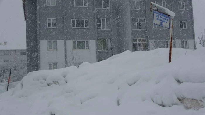 Bitlis'te kar nedeniyle 3 k&ouml;y yolu ulaşıma kapandı