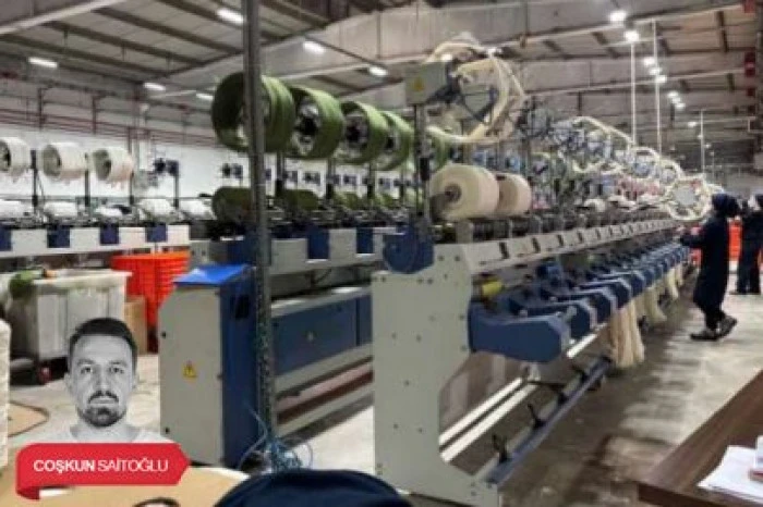 Bursa'da 2 papağan ve Mısır yılanı koruma altına alındı