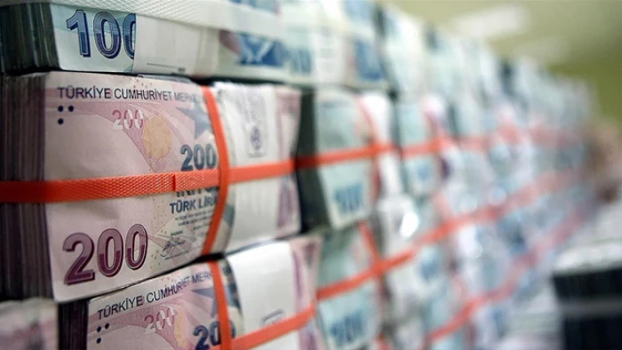B&uuml;t&ccedil;e uygulama sonu&ccedil;ları (1)
