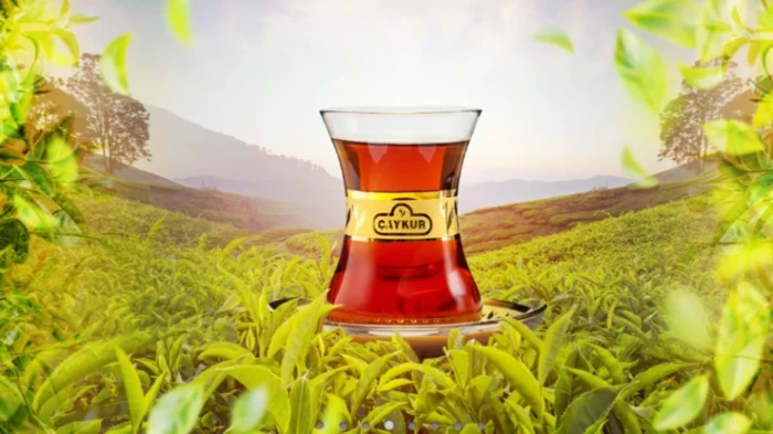 &Ccedil;AYKUR'un s&ouml;zleşmeli personel atamalarında 40 yaş şartı kaldırıldı