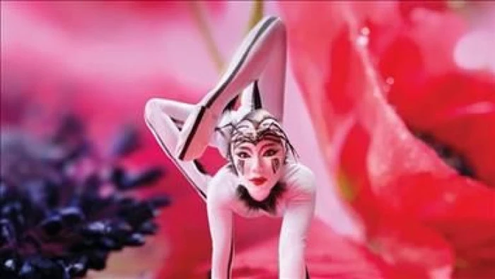 Cirque du Soleil 10 yıl aradan sonra İstanbul'da sahne alacak