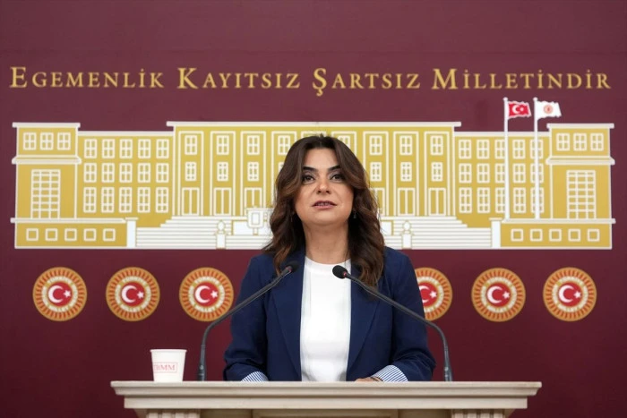 DEM Parti Grup Başkanvekili Ko&ccedil;yiğit, g&uuml;ndemi değerlendirdi: