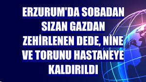 Erzurum'da sobadan sızan gazdan zehirlenen dede, nine ve torunu hastaneye kaldırıldı