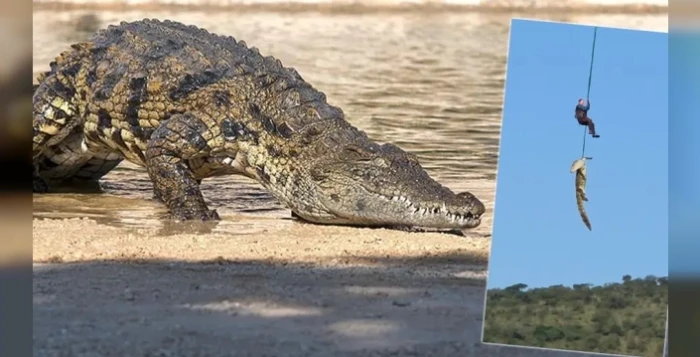 G&uuml;ney Afrika'da dev timsahın midesinden &ccedil;ıkan terliklerin kayıp vakalarıyla bağı araştırılıyor