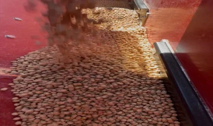 İsrailli avukat, Filistin direnişinin sembol ismi Bergusi'nin ağır işkencelere maruz kaldığını s&ouml;yledi