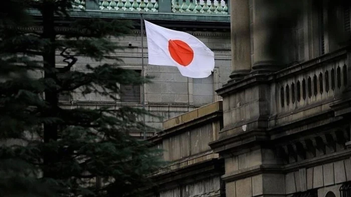 Japonya'da ilkokulda &ccedil;ıkan yangında 10 kişi yaralandı