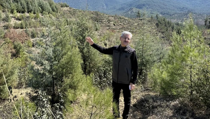 Karab&uuml;k'te yanan ormanlık alana 2 bin 26 fidan dikildi