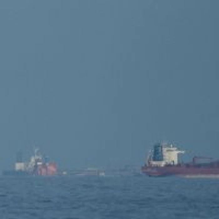 Karganın seyir halindeki otomobilde seyahati ve s&uuml;r&uuml;c&uuml;n&uuml;n omzuna konması kamerada