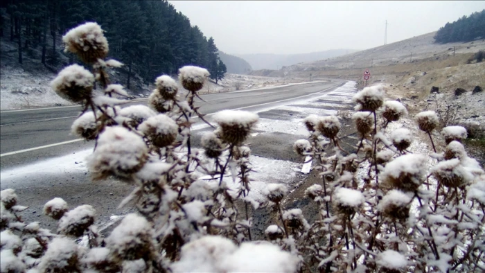Kars'ın y&uuml;ksek kesimlerinde kar etkili oldu