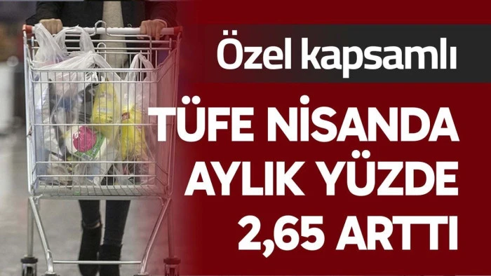 Mevsim etkilerinden arındırılmış &ouml;zel kapsamlı T&Uuml;FE nisanda aylık y&uuml;zde 3,4 arttı