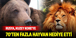 Putin, Kuzey Kore'ye aslan ve bozayı dahil 70'i aşkın hayvan hediye etti